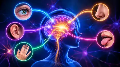 Illustration de la story « Le cerveau traite »